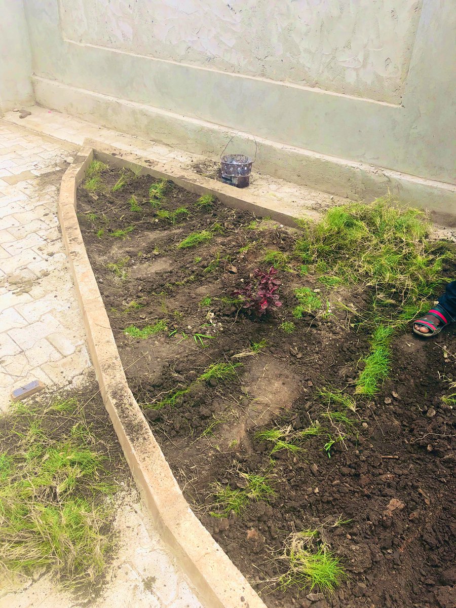 Mwansan's tweet photo. Slowly becoming my favourite weekend activity #gardening #landscaping https://t.co/K5HRr8dyWi