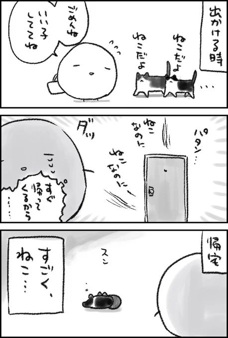 温度差isねこ 