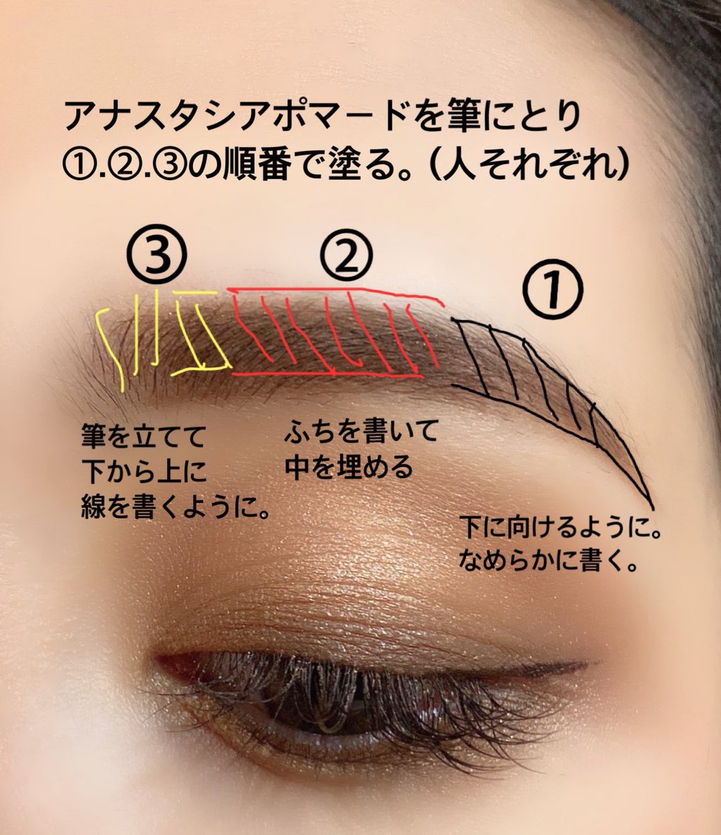 秋 鮨 アナスタシアは8回くらい通いましたがもう1年半 2年近く行っていないかな 今は違うかもしれないけど毎回担当してくれる方が違うのでどういう眉にしたいかしっかり伝える 鏡で眉の筋肉の付き方や眉の動きを自分で確認し 左右どちらかの筋肉が発達し
