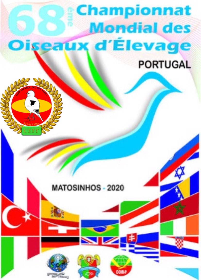 EspanolFife's tweet photo. 🌍 Desde el @club_fife_fancy deseamos mucha suerte  a todos los #criadores participantes en el próximo campeonato del mundo que se celebra el #Portugal 
#fifefancy #canariosdepostura #canarybird #68campeonatodelmundo #ornitología 🐤 https://t.co/494gW3Fy8R