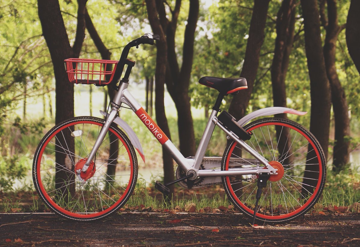 Great news from #EPC2020! My work with <a href="/khof312/">Katherine Hoffmann Pham</a>, <a href="/chiccorampazzo/">Francesco Rampazzo</a>, and <a href="/SilvestriFr/">Francesco Silvestri</a> has been accepted. I will present a poster on how we can leverage @MobikeIT 🚲  data to study mobility in Padova. #datascience