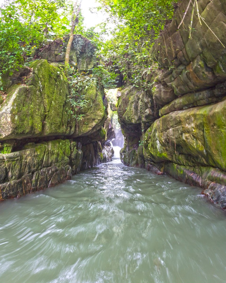valleilove's tweet photo. Puente de piedra en #Ginebra #valledelcauca #Colombia
.
.
.
#paisaje #travel #trip #view #nature #naturaleza #suramerica #america #ilovevalle #post #likelike #valleilove #turismovalledelcauca #paisaje #rio #picture #cascada #traveling #valleilove #turismovalledelcauca
#paisaje https://t.co/Z83gcDSgmV