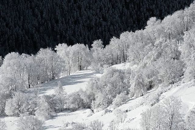 ABPhoto9's tweet photo. I love to get a telephoto lens and look for detqiks in the landscape. This one was taken @ 135mm

An image from Hautes Alpes in France where it finally snowed! https://t.co/5WIBGdtsP1 https://t.co/q5CUu1xVTK