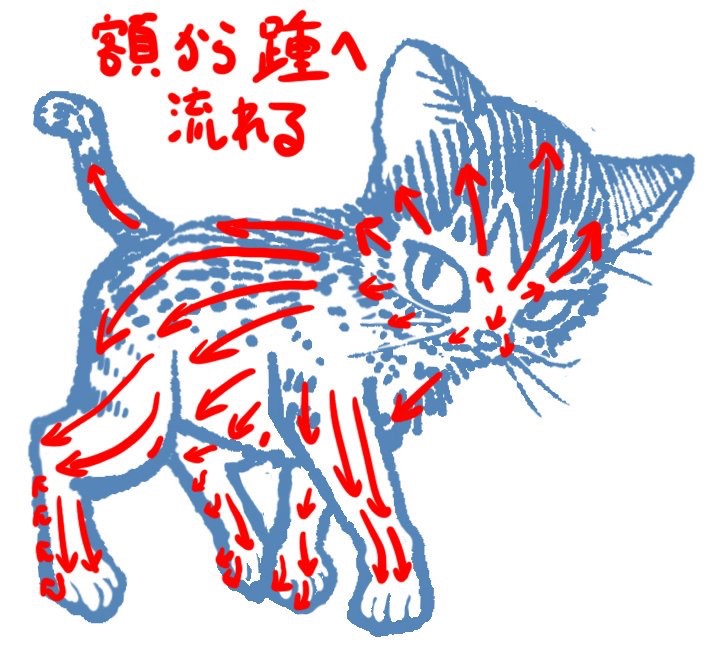 @mangagenki ネコカクマク 〜猫画上手く描ける方法〜 
猫の描き方から絵を考える
https://t.co/nfoFJG60xu 