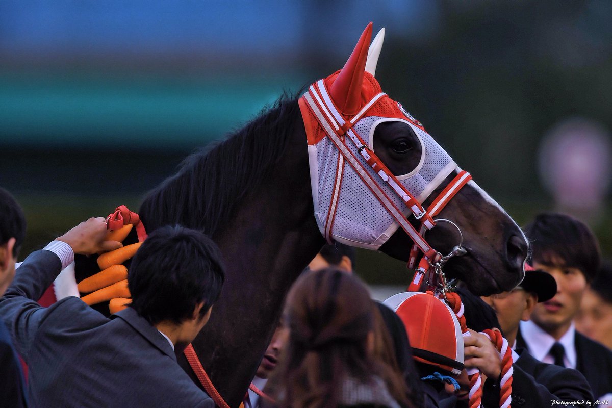 horse_memorys's tweet photo. リスグラシュー https://t.co/aOadPTwjum