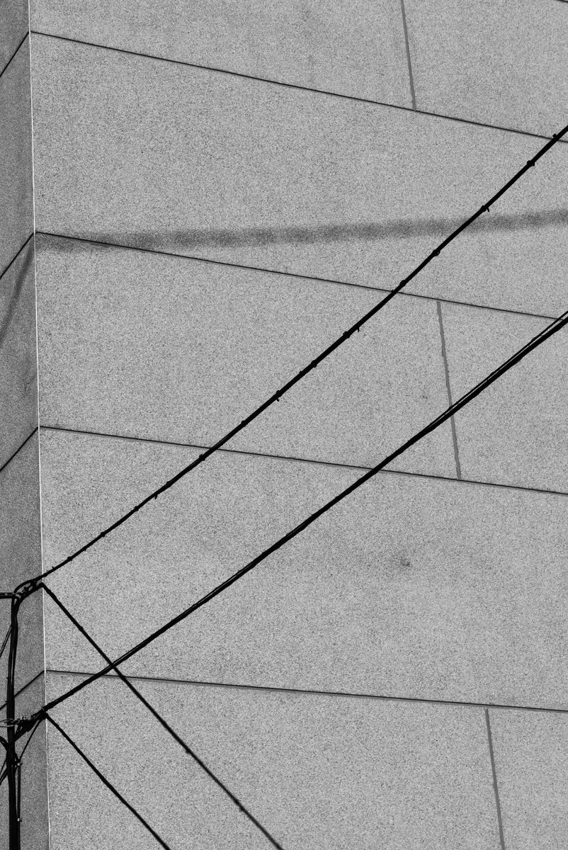 archillect's tweet photo. https://t.co/8tWK8PlfrW