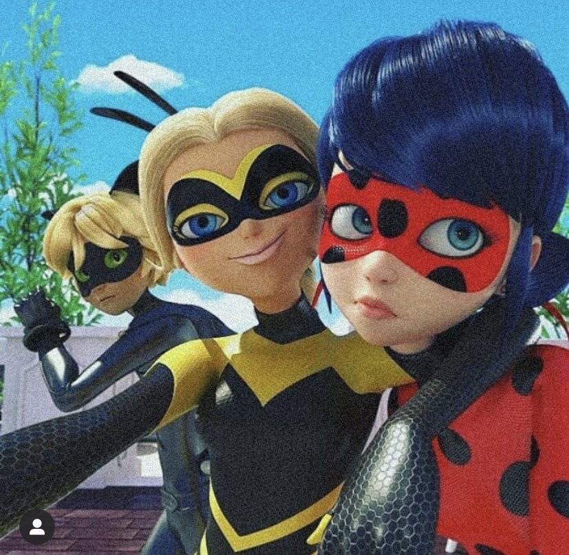 Ladybug tweet media