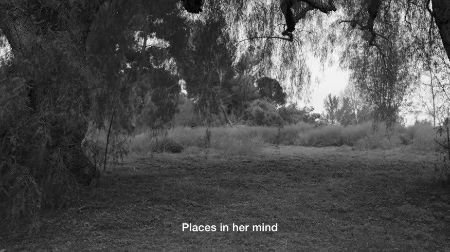 orydsoli's tweet photo. i am easy to find (2019) , dir. mike mills https://t.co/lJaOHycWno