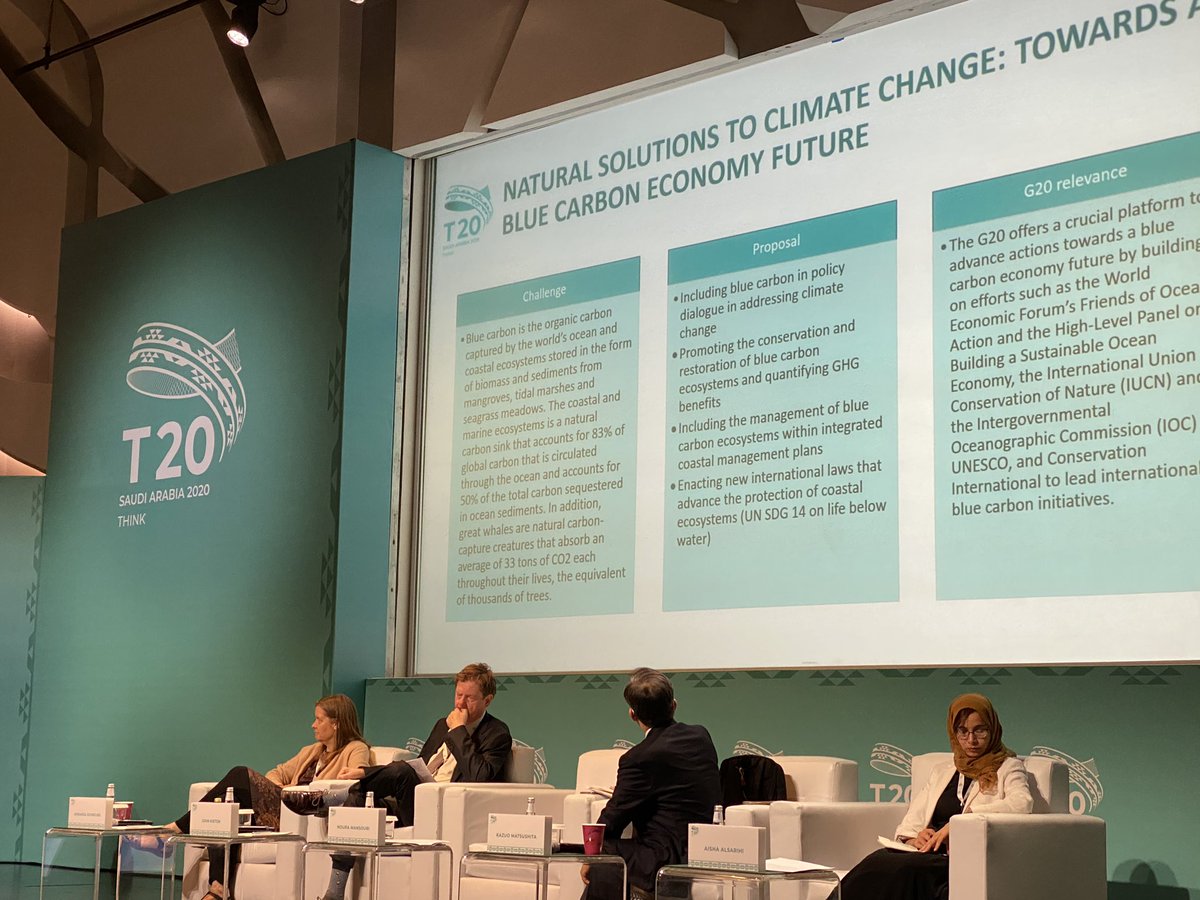 aeon_collective's tweet photo. Day 1 of a Terrific &amp; Highly Organized T20 Task Force 2 (Climate Change &amp; Environment) Breakout Session for a Policy Discussion moderated by lead co-chair @NYMansouri with abstracts on a range of topics: #bluecarbon, #EEfinance, #reforestation #T20Inception https://t.co/kGP81RxwKV