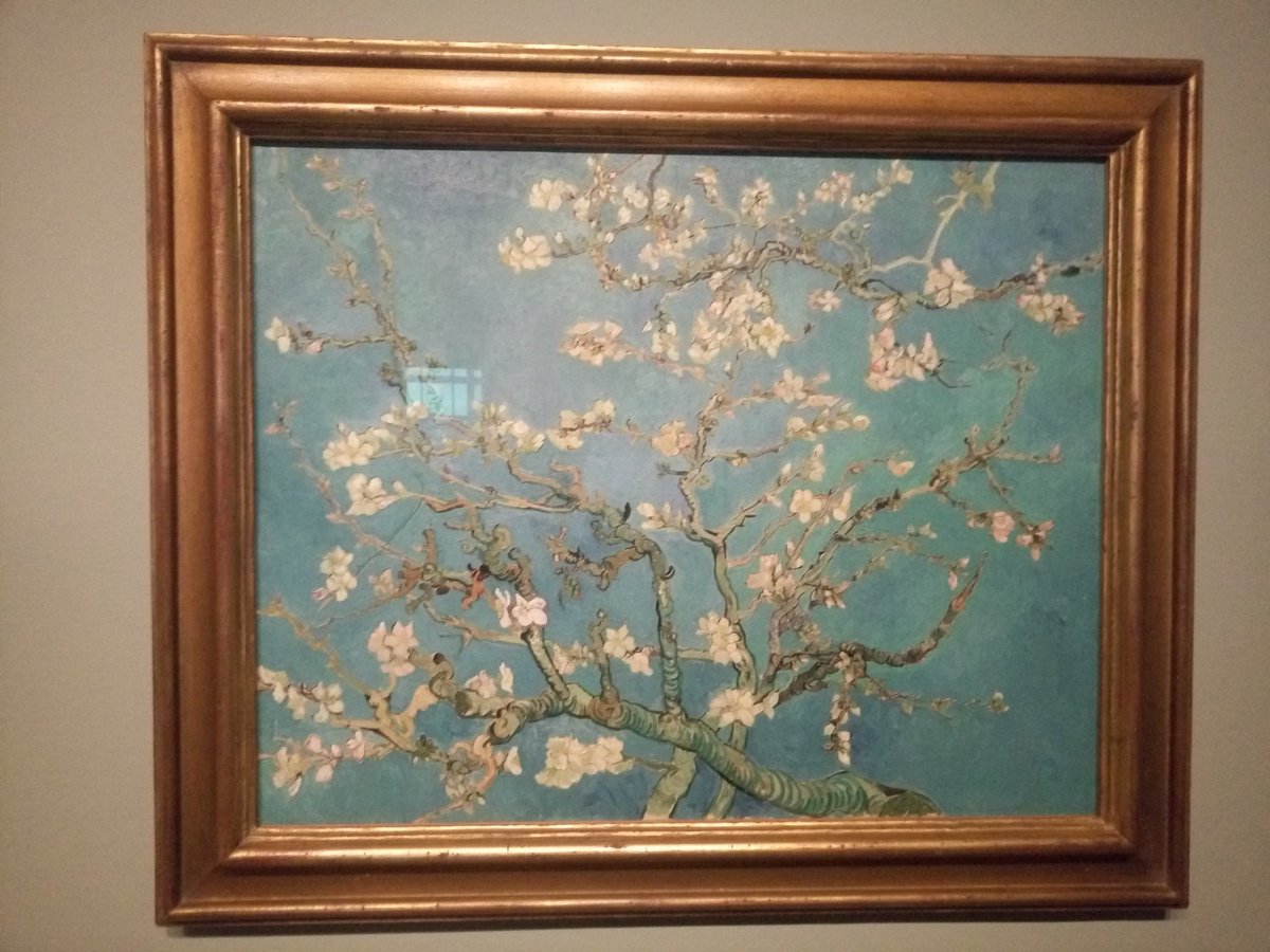 divisionesvago's tweet photo. Museo Van Gogh Amsterdam: un bel percorso per conoscere Van Gogh #nederlan #Amsterdam #19gennaio #vangogh https://t.co/7x3DgjDxzR
