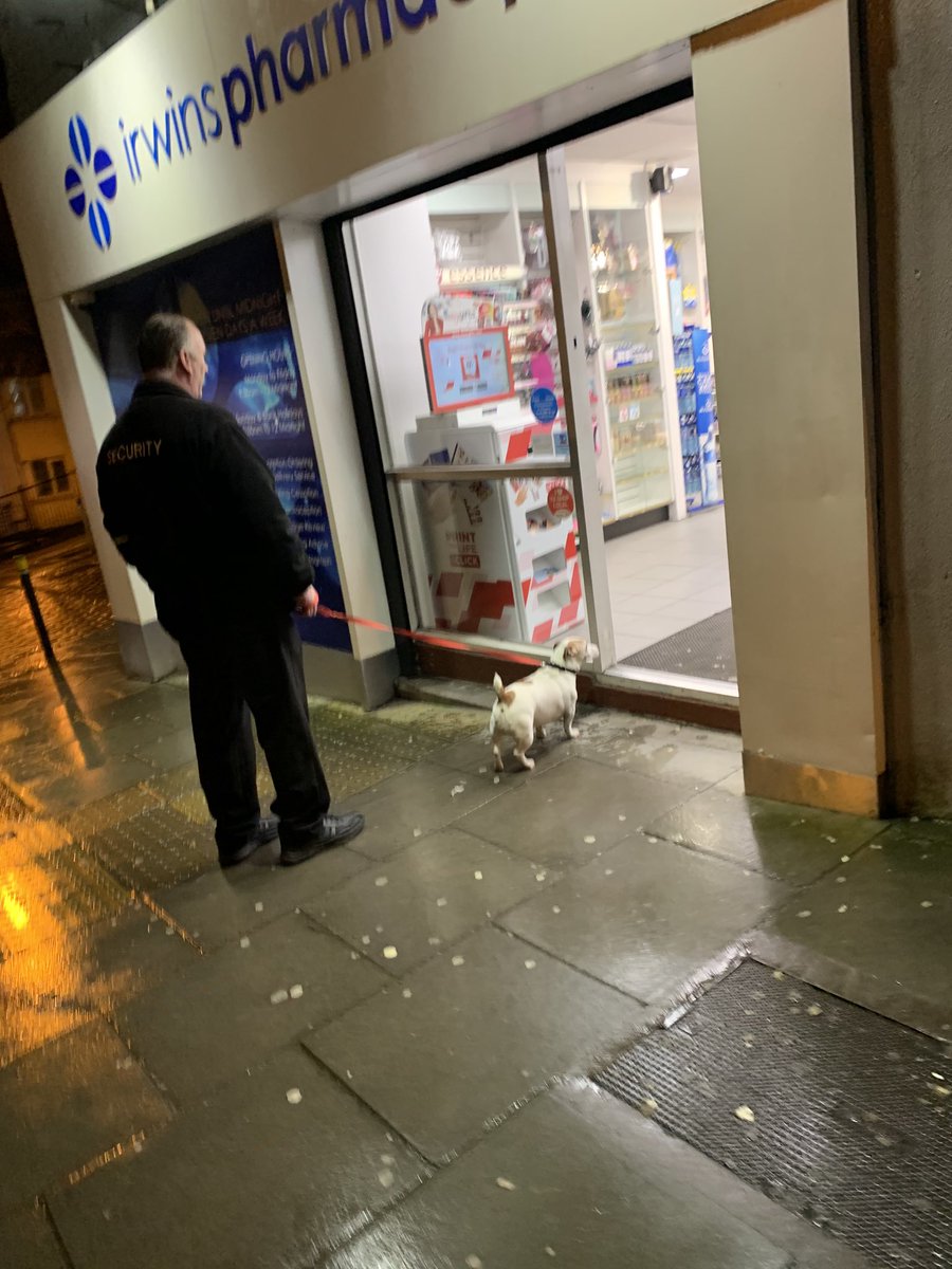 Paul Moynihan tweet media