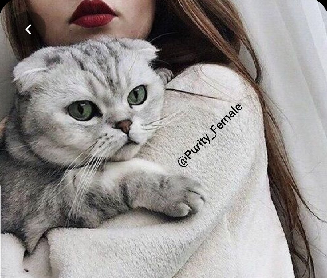 لو تأتي الان
لو تمد يدك ليدي 
التي لما تستطع أن تمسكها ذاك اليوم
هل سأستطيع ان أمسك بيدك ؟
هل سأفرض 
كلمتي ، إرادتي
كبريائي ، غروري ...
على ذاك القلب 
الذي يطير نحوك ويلتفف حولك
رغم كل شي ! 

#نقاء_انثى 
#طفلة_الحب
#قَبّـلَةُ_آلَنٌوُرَ