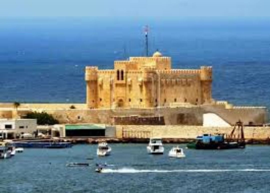 ShebaTour tweet picture