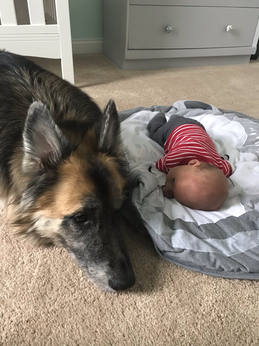 Susan Woodard tweet media