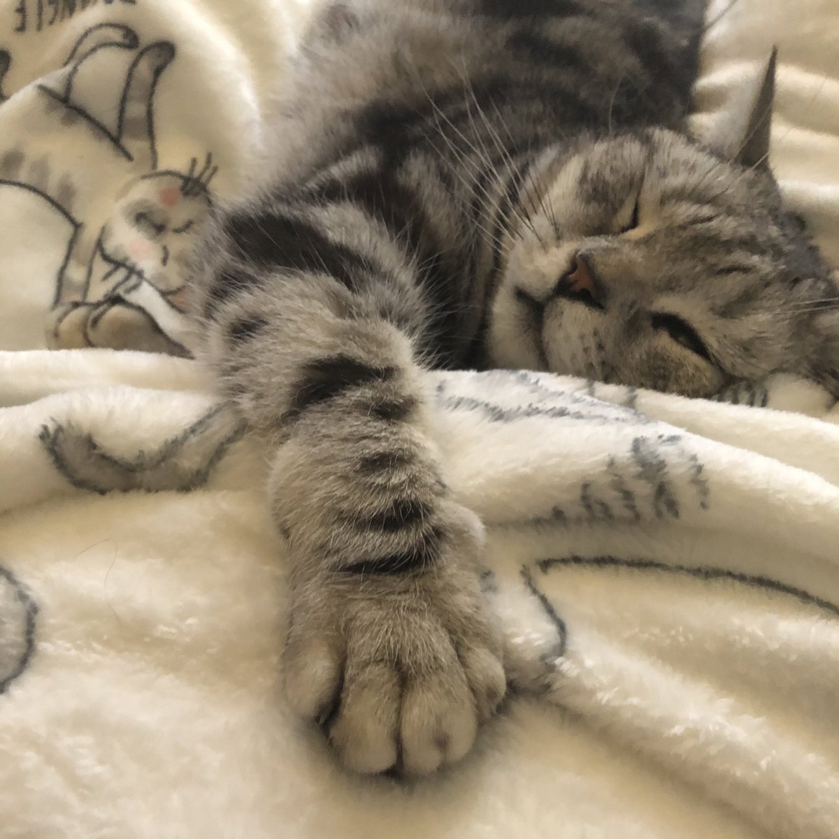 Sunday should be re-named Snugday. The Sun part is a bit misleading when you live in the UK . What would you call it ? ♥️⭐️