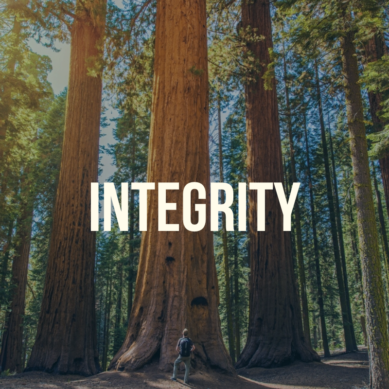 NBOME's tweet photo. We carry out our mission with actions, communications, and standards that are always honest, professional, and fair with the highest regard and respect for individuals.
#Integrity #CoreValues #OneNBOME https://t.co/iTXDCW3d7y