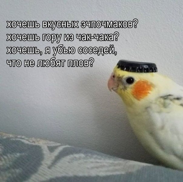 system_access's tweet image. 