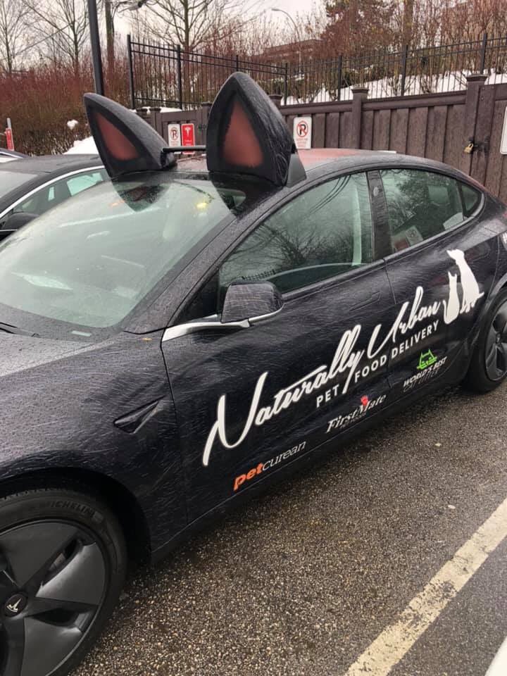 DriveTeslaca's tweet photo. Dope or nope? I’m sure these do wonders for efficiency #Tesla #Model3 #frunkkitty Photos by Chris M https://t.co/YgyIjjiVBw