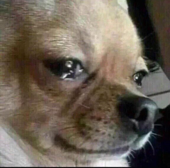 ooc. — FFFFFFUUUUUUU.