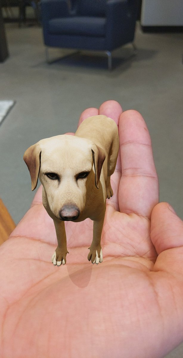 sauceofducks's tweet image. My talking point today at the @mitrealityhack: yea hard-edge occlusion is cool and all, but here's a small dog from my Google search results. How'd he get that small????  ahahah

#itsnotabugitsafeature #AR