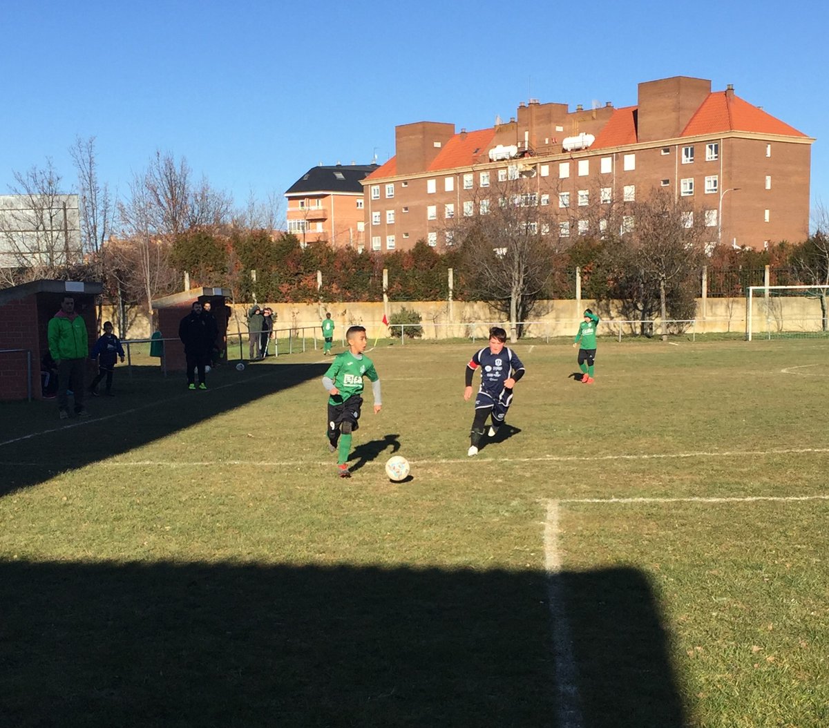 C.D. Bosco tweet media