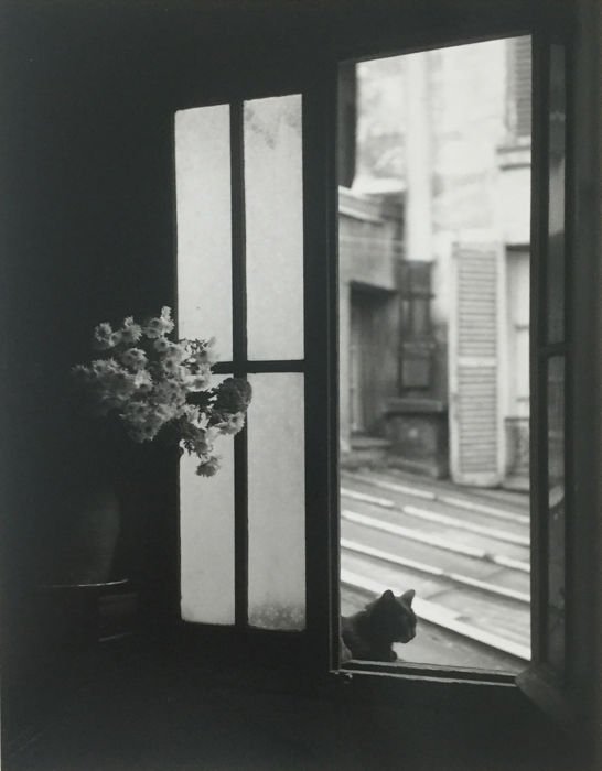 AnaBolena33's tweet photo. "Ojalá pudiera ser tan misterioso como un gato."
(#EdgarAllanPoe)

© Willy Ronis. https://t.co/V94R5vGibC