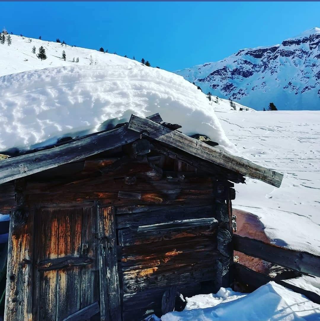 Pension Sunnhofer (@sunnhofer) on Twitter photo 