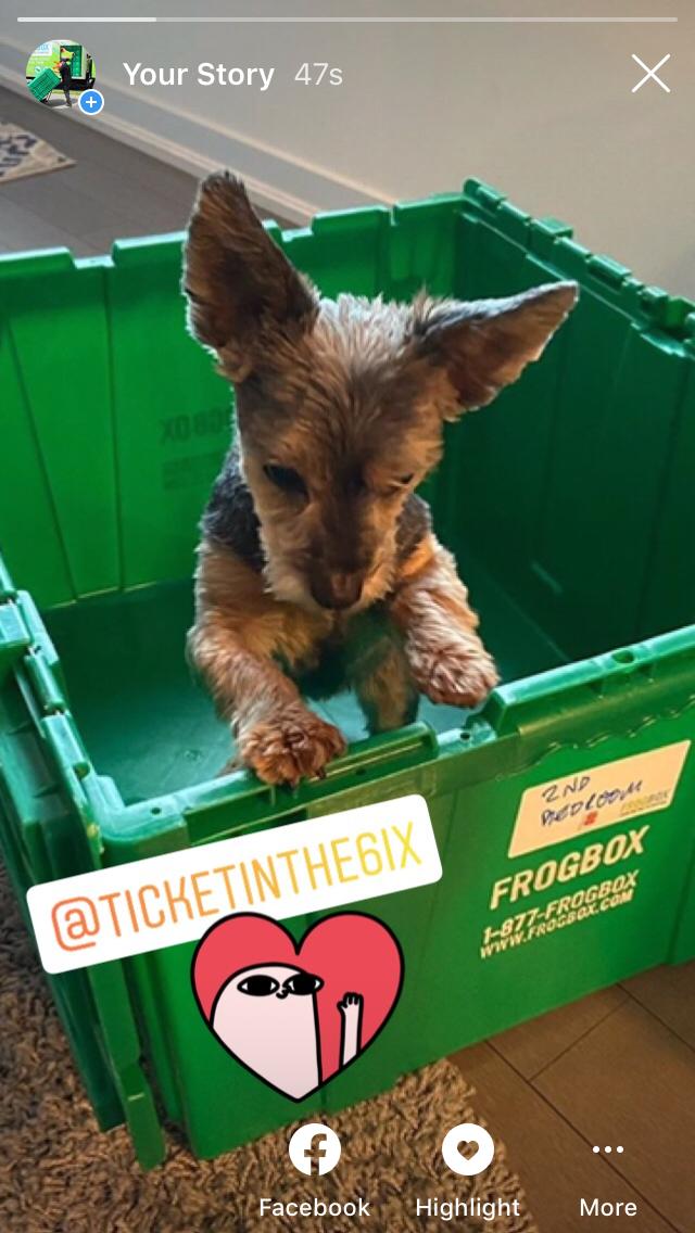 FROGBOX's tweet image. #green #movingboxes #reusablemovingboxes #cute