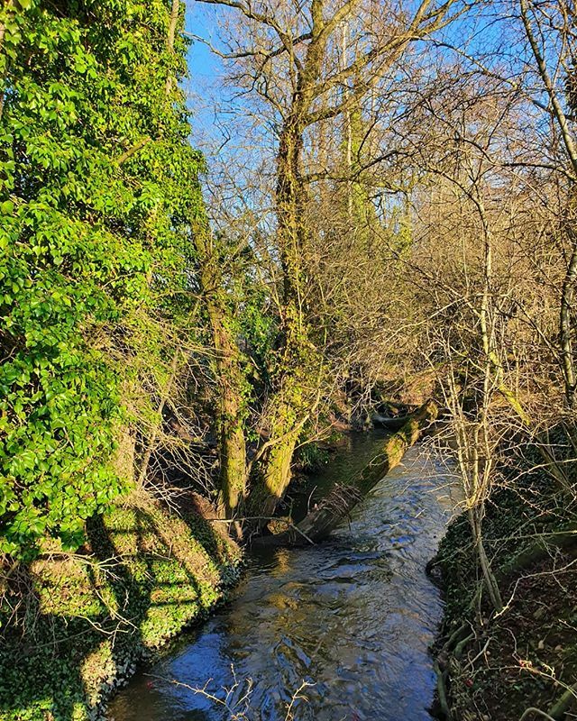 Flex Our Minds tweet media