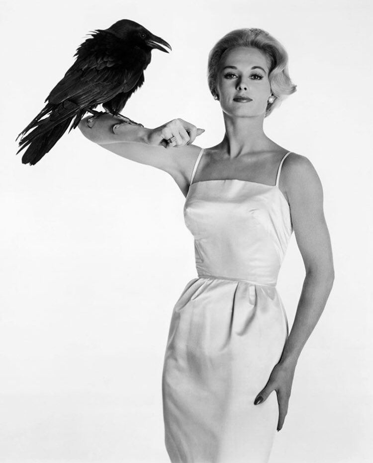 Happy Birthday to Tippi Hedren and her crow 
