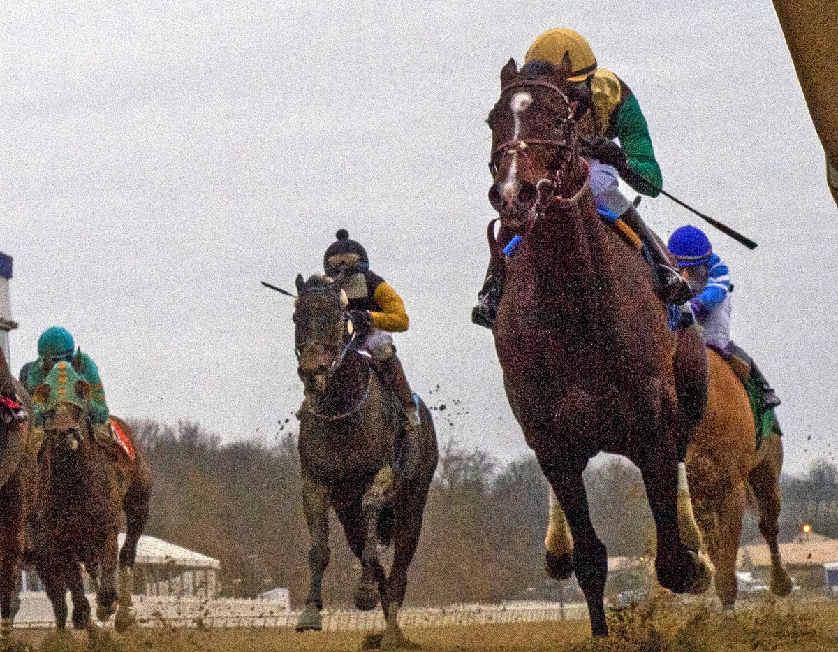 KellyRubley's tweet photo. Alwaysmining gets back on winning track with a victory in The Jennings Stake yesterday at @LaurelPark! Watch the replay here - https://t.co/SOT6nhoYRP
#kmrracing #alwaysmining #runnymooreracing #julianpimentel #laurelpark #maryland
Photo Credit: Jerry D Photo https://t.co/O5BfSknAXu