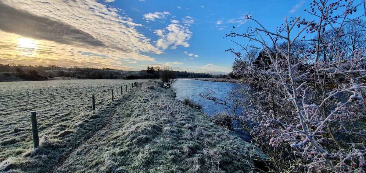 RickRCWWilson's tweet photo. Lovely frosty walk along the Derwent this morning https://t.co/TX546jxsnk