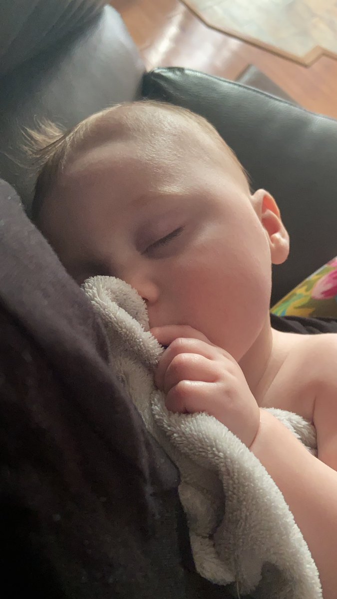 Ginger__Holly's tweet photo. But can’t I have a million babies? 😍😍 https://t.co/ldriyoHqGg