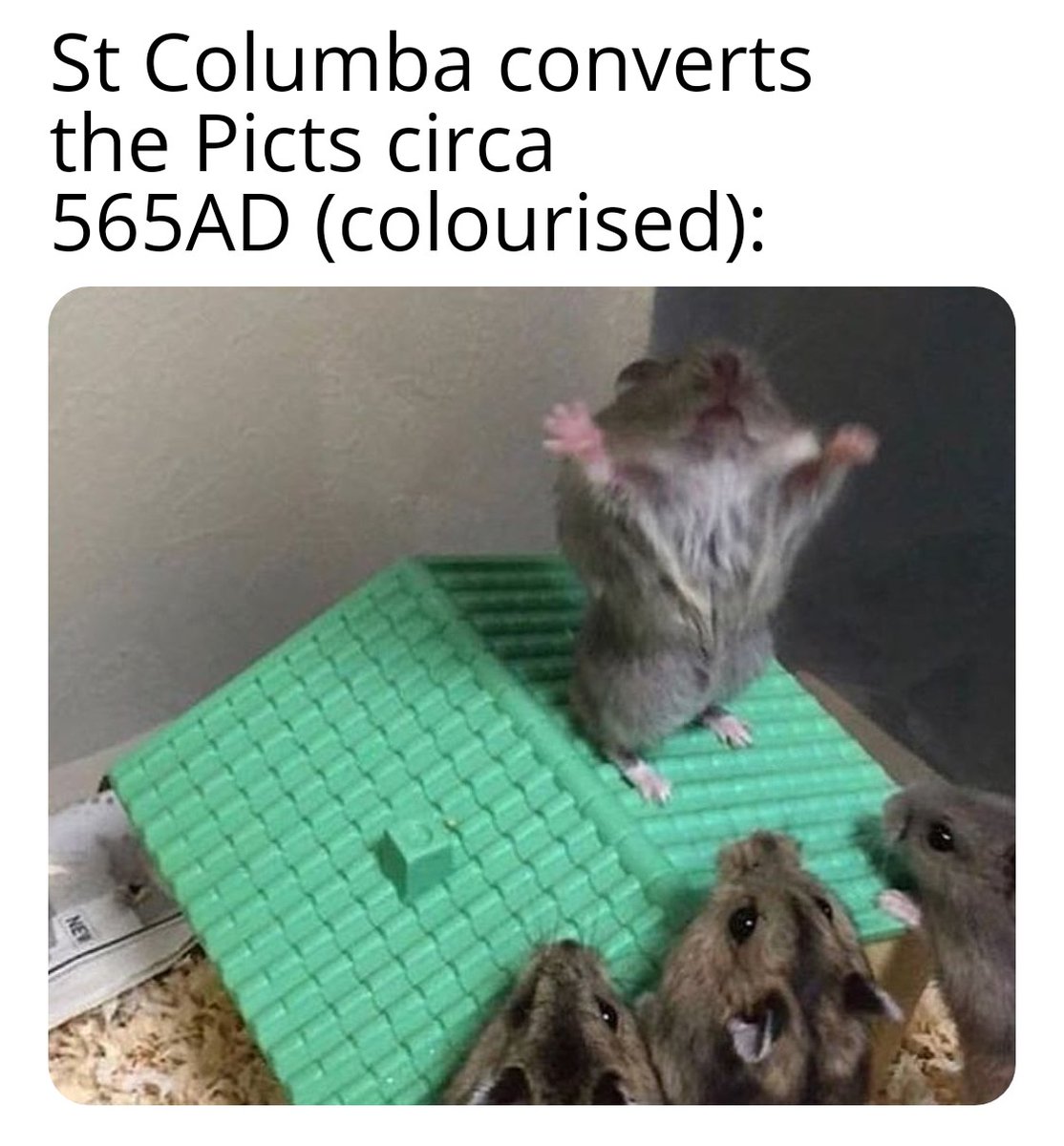 PictishM's tweet photo. #Archaeology #Picts #StColumba #Converts #Hamsters https://t.co/pNZfy1sBUV
