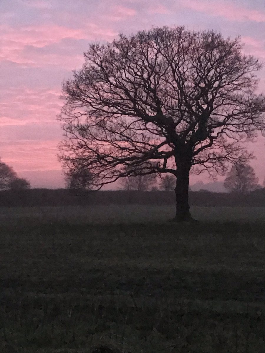 candswalton's tweet photo. #GRTWRunuary 2020 day 19 @GRTWUK https://t.co/JAszNL0leg