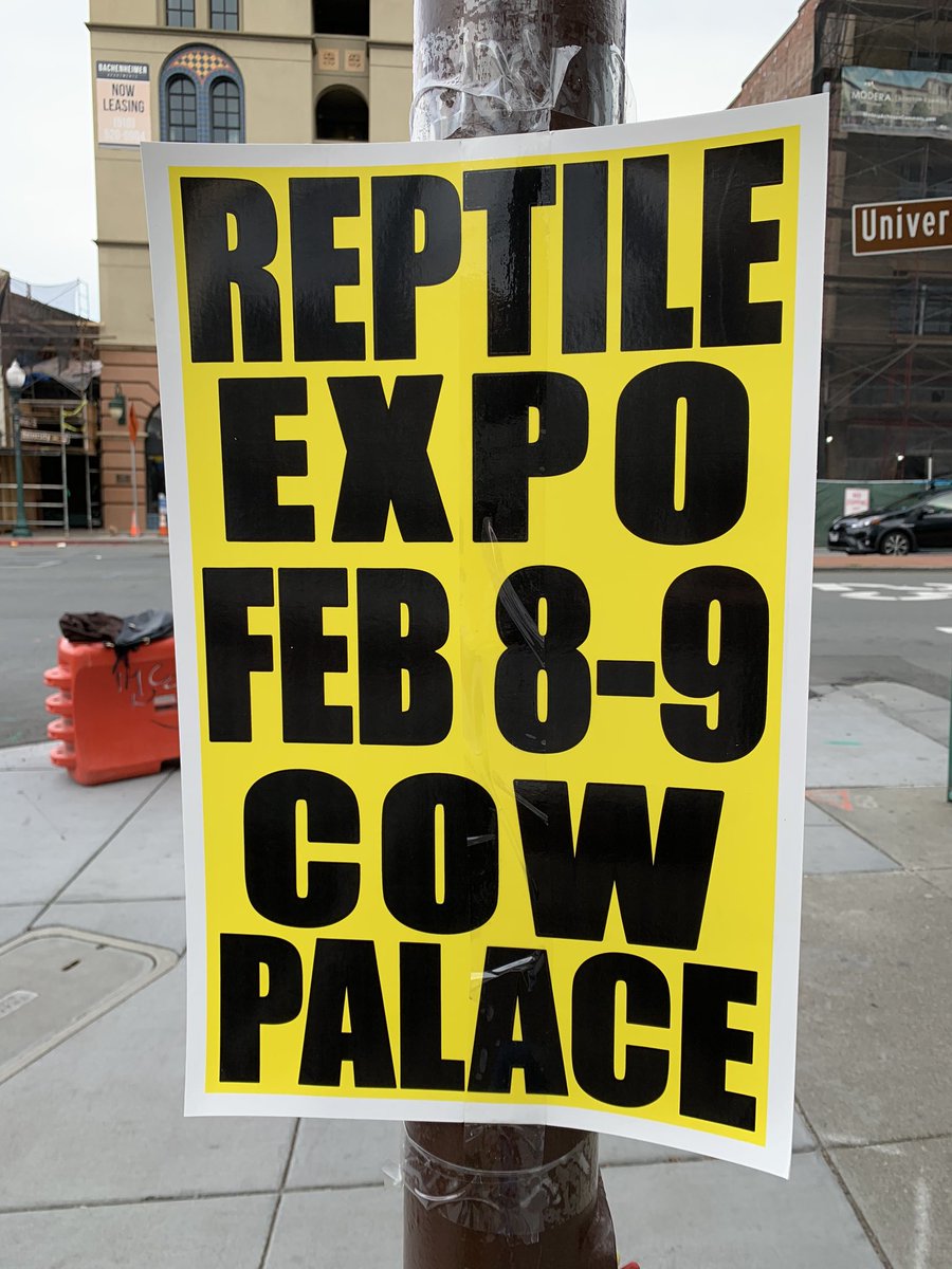 Reptile Expo: Feb 8-9 Cow Palace