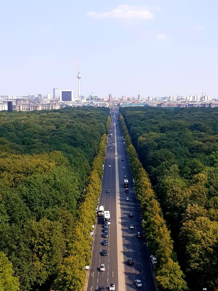 rhythmoftime's tweet image. Tiergarten Park,Berlin #Birding 🇩🇪