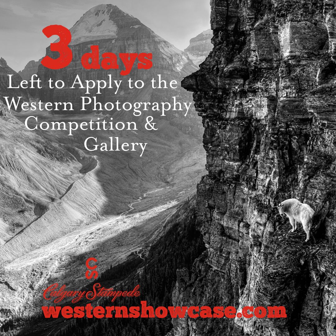 CSWestshowcase's tweet image. Only 3 days left to enter the Western Photography Competition and Gallery! 

#csarts2020 #photography #calgarystampede