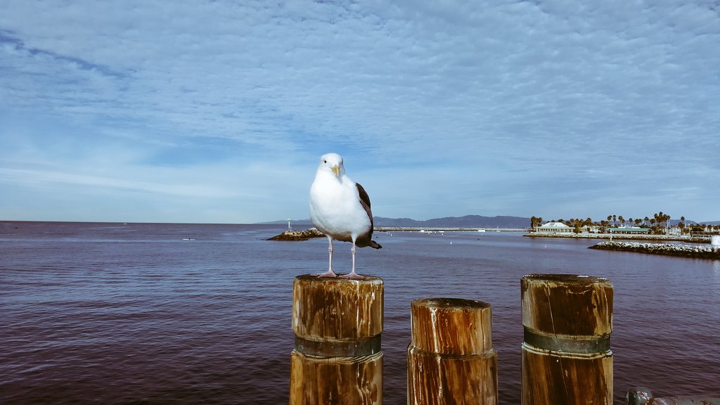 PostHastePics tweet media