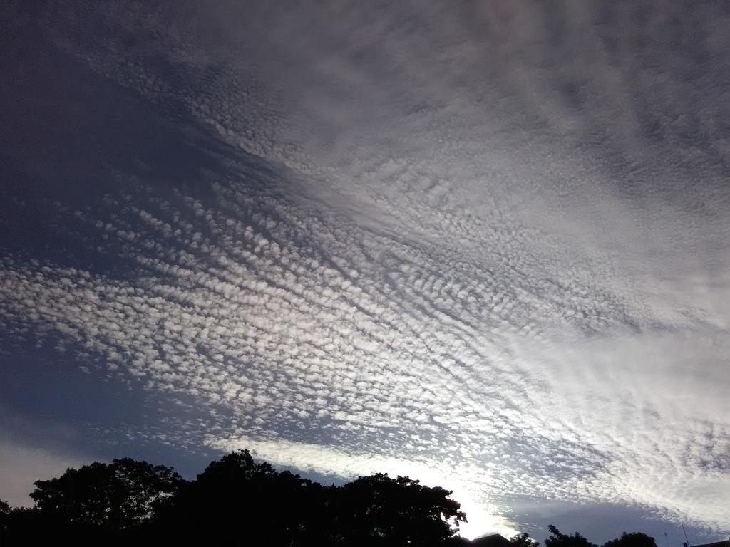 Pouvoirs dispersés ne  sont que des bruits, pouvoirs concentrés ne font que du silence...