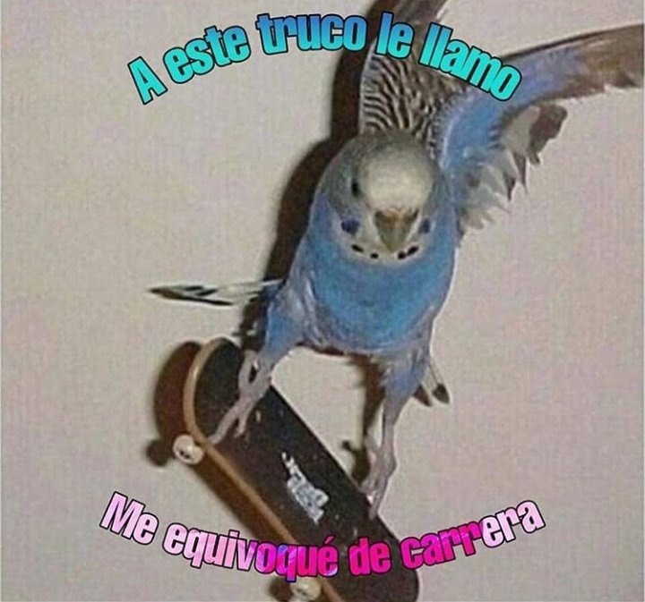 Brócoli666 🍂🍄🥦 (@dieztamayo) on Twitter photo 