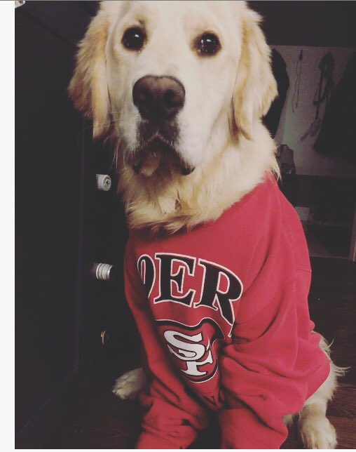 Amit Sharma tweet media