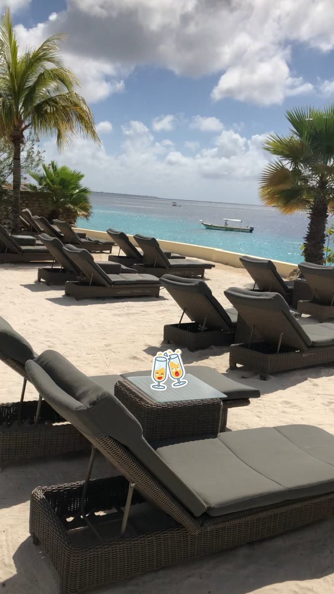 buddy dive bonaire on Neevegooh Neevegooh Twitter