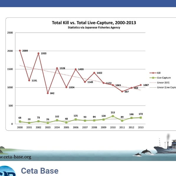 Just found this on the @dolphin_project website. The Taiji dolphin drive hunt is one of the cruelest things I know of. I have researched this topic extensively and the more I learn about it the more angered and upset it makes me. #thecove #taiji #dolphins #dolphin #savetheseas