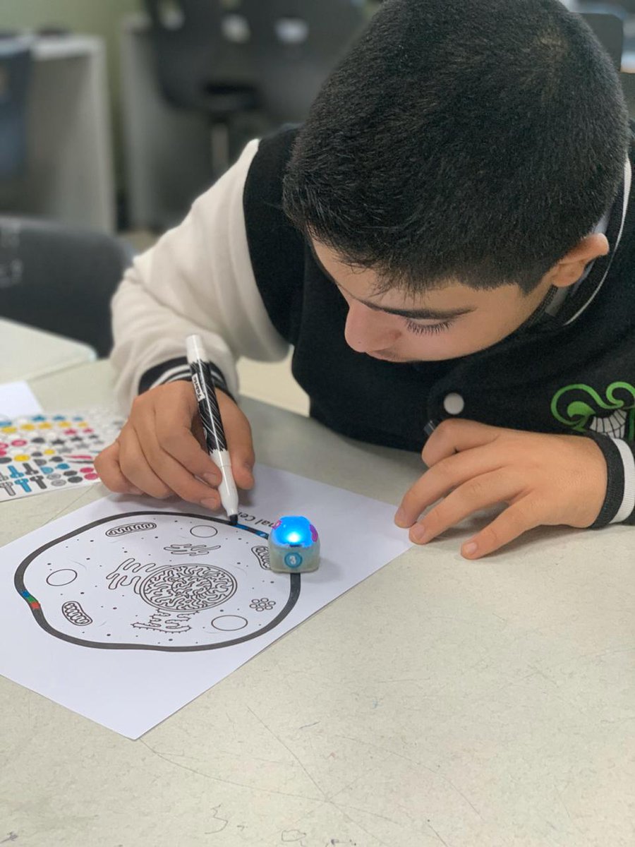 DNS_Altwar's tweet photo. Our students are learning about the plant and animal cells with the help of @Ozobot

#learningSupport 
#specialEd 
#DNSshines 
@LearningTechDNS https://t.co/BtvQ2JONSQ