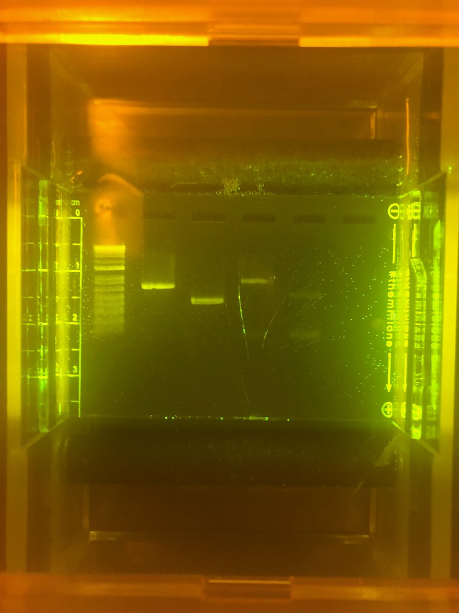 So proud of these kids and how much they have learned this year! They are pros at running gels now! 🧫🧪🧬 #ngss #bringingbiotechtoec