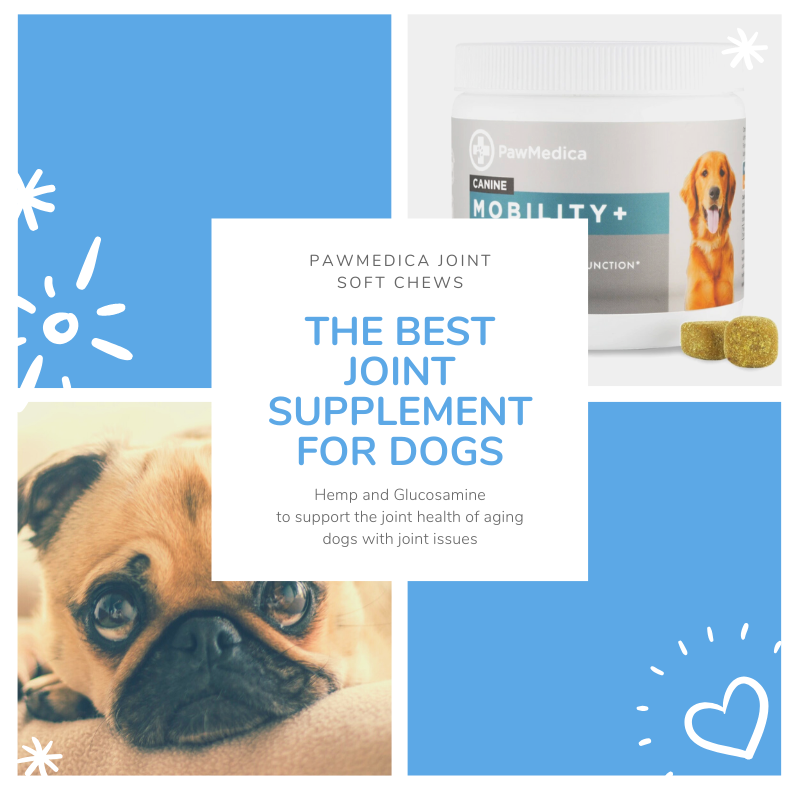 ChrissyEblin's tweet photo. Your pup will be pain-free and jumping around with excitement when he/she sees the container.  These are the best soft chews to support the joint health of your furry family members!

#Sponsored https://t.co/UwQ7QgKsaI