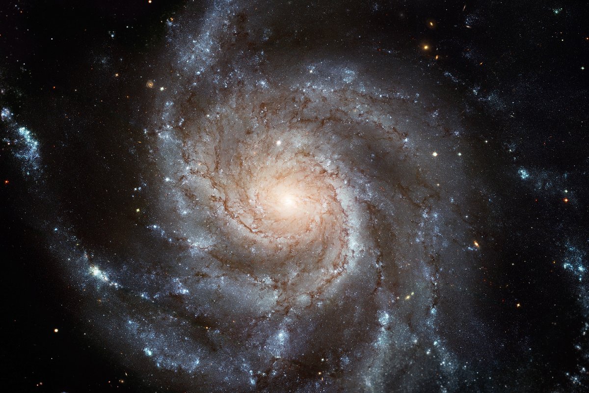 Spiral galaxies look like pinwheels, but their arms are actually density waves that trigger star formation as they go. A spiral galaxy is more a *pattern* than a single object. burro.cwru.edu/Academics/Astr…