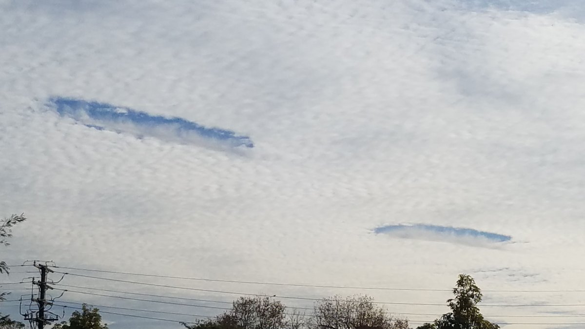 JasonStiff's tweet photo. I saw #beautiful hole punch clouds (#fallstreak holes / #cavum) today. They looked like giant ships floating through a sea of #cirrocumulus #clouds in the #sky...
#California #SantaBarbara #LosAngeles #sun #sunrise #dawn #cirrus #fallstreaks #holepunch #punchhole #cloud #weather https://t.co/wBkB4qnMT3