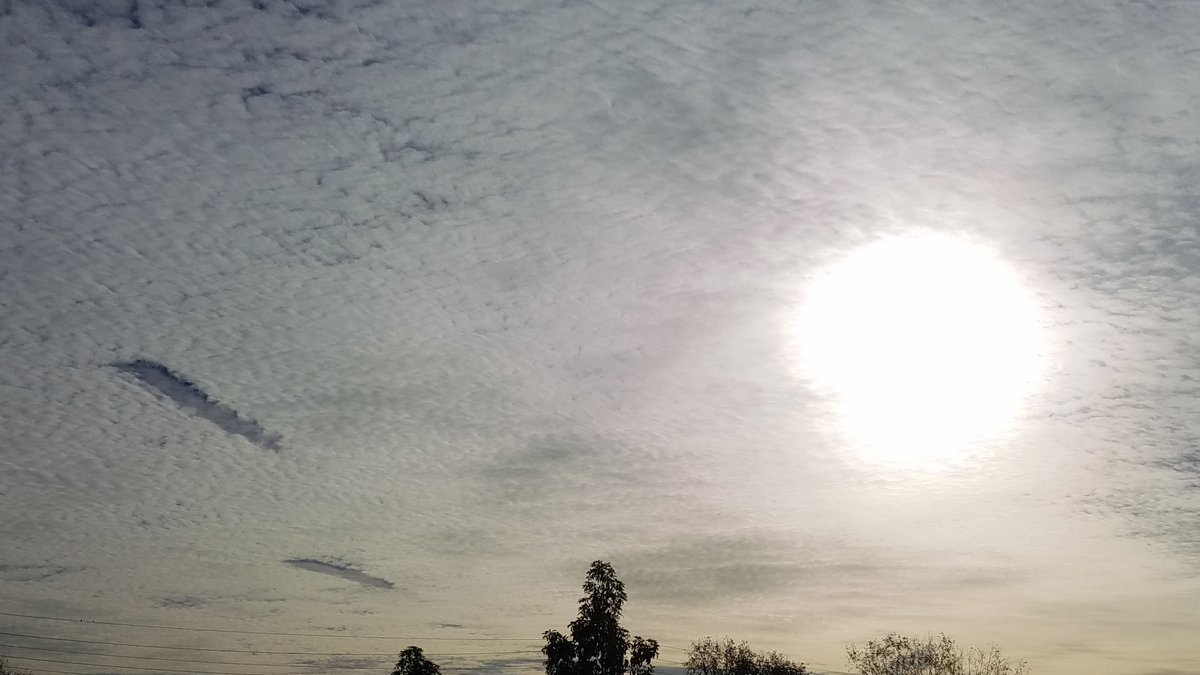 JasonStiff's tweet photo. I saw #beautiful hole punch clouds (#fallstreak holes / #cavum) today. They looked like giant ships floating through a sea of #cirrocumulus #clouds in the #sky...
#California #SantaBarbara #LosAngeles #sun #sunrise #dawn #cirrus #fallstreaks #holepunch #punchhole #cloud #weather https://t.co/wBkB4qnMT3